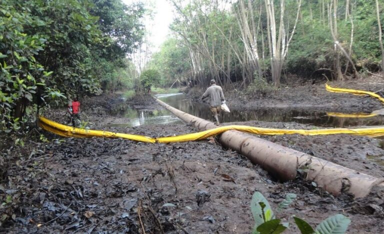 Oleodutos amazônicos: Colômbia, Peru e Equador são afetados por derrames de petróleo