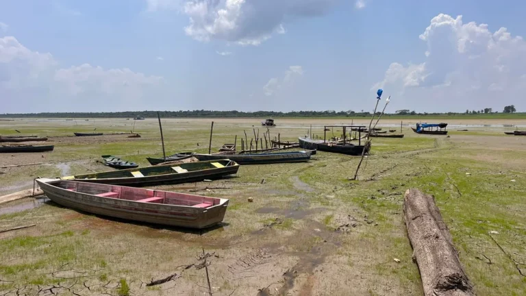 Previsão de seca severa: Defesa Civil recomenda estoque de comida e água no Amazonas