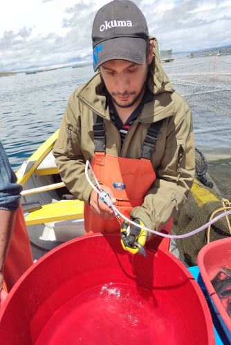 Pesquisadores peruanos desenvolvem primeira vacina para peixes