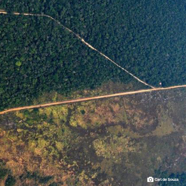 A realidade da Reserva Legal na Amazônia e o Projeto de Lei 3334/2023