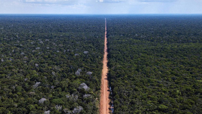 Ministério dos Transportes conclui que pavimentação da BR-319 é viável ambientalmente