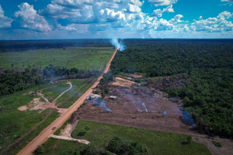 Relatório do Ministério dos Transportes não apresenta plano concreto contra impactos ambientais de obras na BR-319