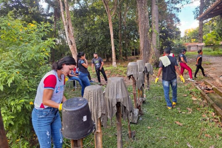 Escola no Pará ensina a elaborar vasos de cimento com toalhas reutilizadas