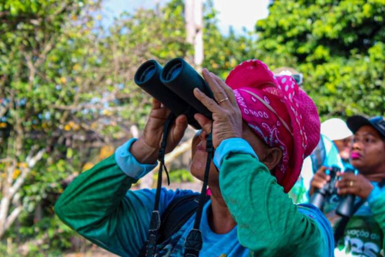 Pará é destaque em e-book sobre atividade de observação de aves