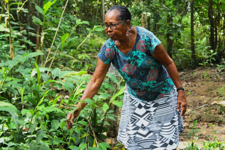 ‘Faço por amor’: parteira já ajudou no nascimento de mais de 200 crianças no Amapá