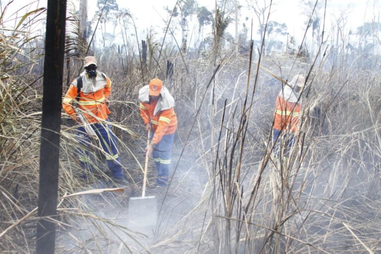 Focos de queimadas aumentam 50% nos primeiros meses de 2024 em Rondônia