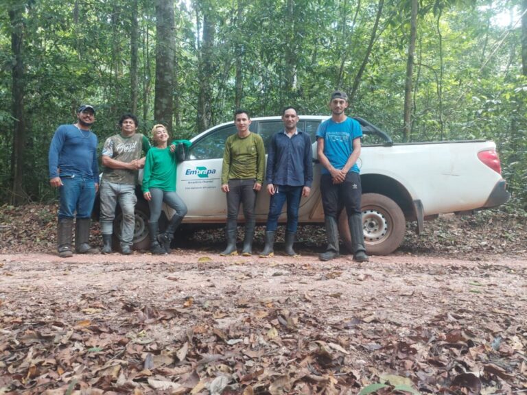 Pesquisas na Floresta Amazônica, muito além das flores