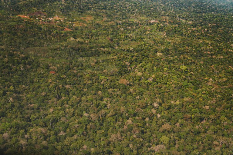 Plano de conservação de biodiversidade em Terras Indígenas receberá investimento de U$ 10 milhões