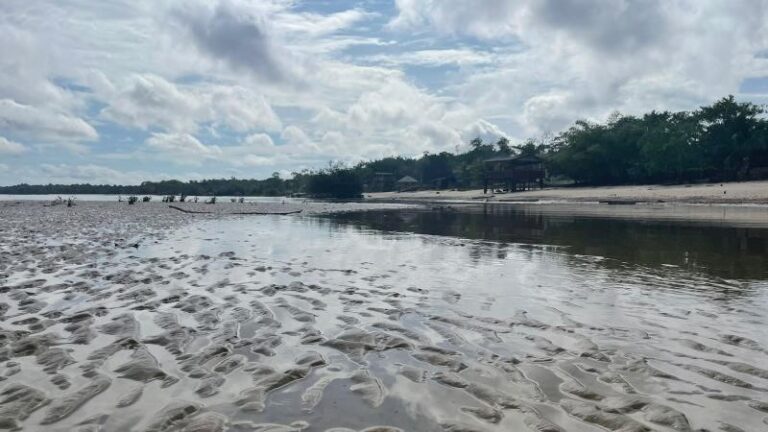 Verão Amazônico: em Belém, ilhas revelam praias paradisíacas