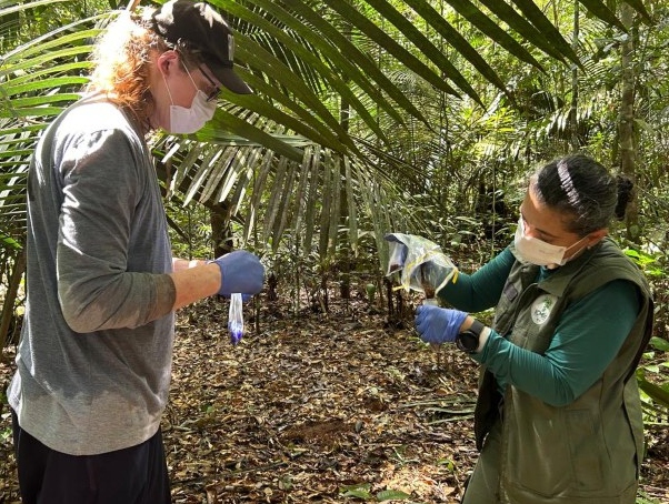 Expedição na Flona Tapajós, no Pará, coleta amostras ambientais com técnica eDNA