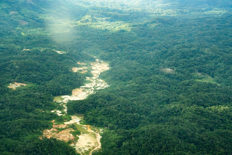 Retirada de intrusos em Terra Yanomami é reforçada pelo MPI e operação prossegue