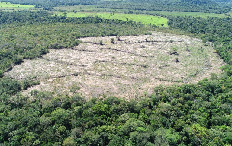 Demandas do centro-sul impactam no desmatamento da Amazônia mais do que exportações