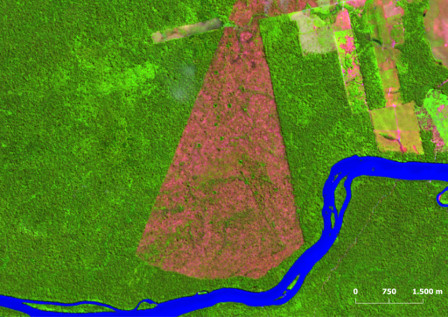 Amazônia tem menor desmatamento em unidades de conservação no primeiro semestre dos últimos 10 anos