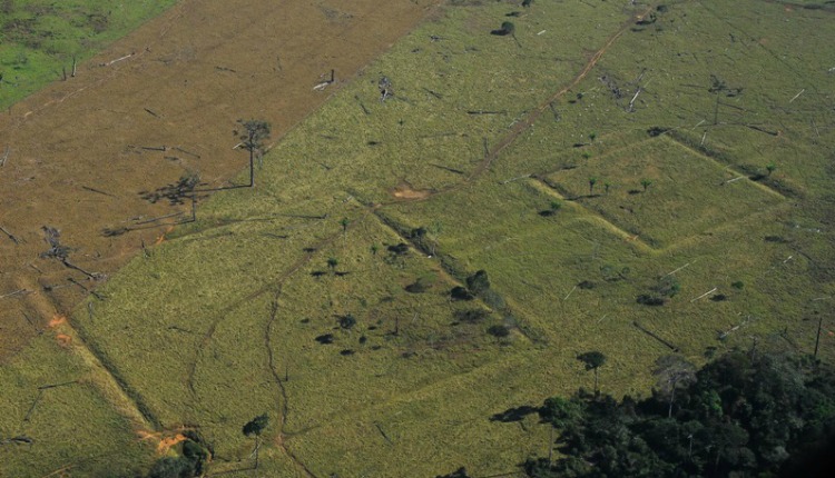 Cientistas se unem a povos da floresta amazônica para proteger sítios arqueológicos em risco