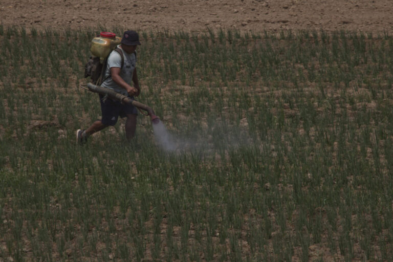 Potássio, cal, fósforo: minerais para uso agrícola já podem ser encontrados na Amazônia