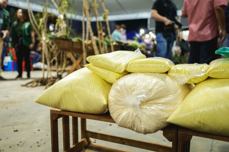 Povo Puyanawa celebra independência econômica com alta produção de farinha de mandioca em festival 