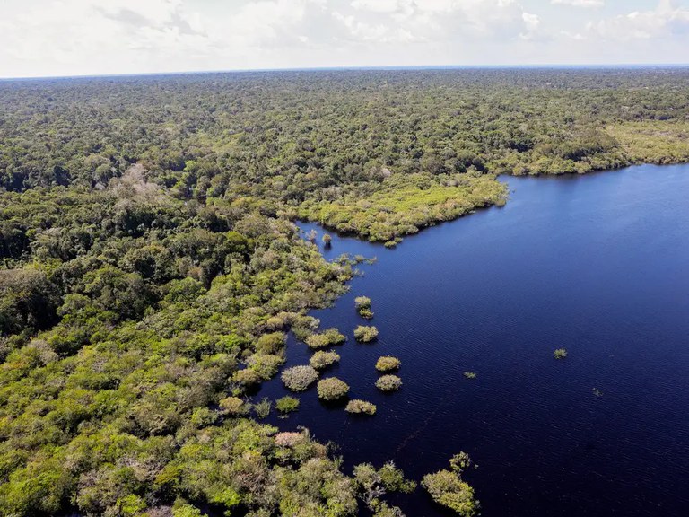 Biomas brasileiros serão percorridos por Governo Federal para discutir emergência climática com a população