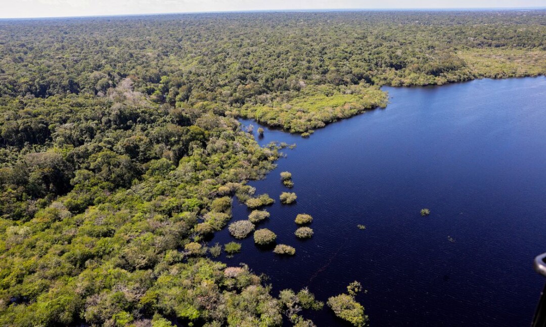 doação fundo amazônia - Fábio Rodrigues - Pozzebom - Agência Brasil