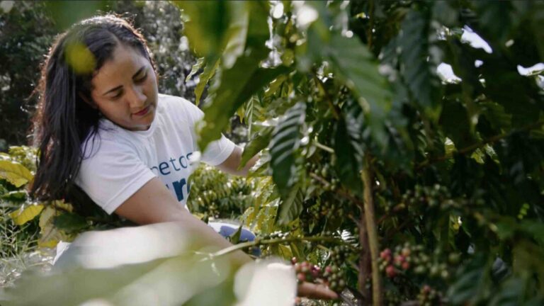 Echos da Amazônia: Terra, Café e Sustentabilidade, o Futuro da agricultura familiar na Amazônia