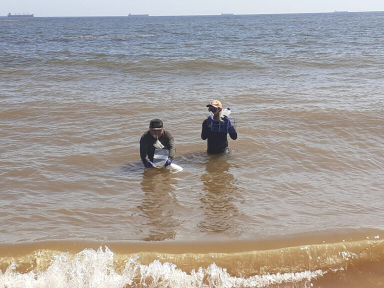 Testes identificam praias impróprias para banho nos distritos de Belém