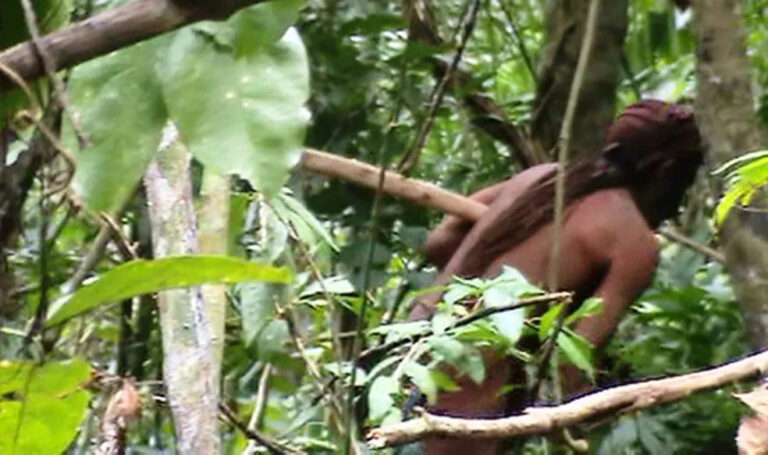 Destinação da terra onde viveu ‘Índio do Buraco’, em Rondônia, não tem consenso