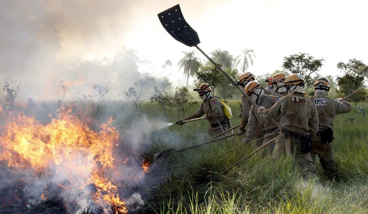 Dados alarmantes: Mato Grosso registra quase 400 focos de incêndio em quatro dias