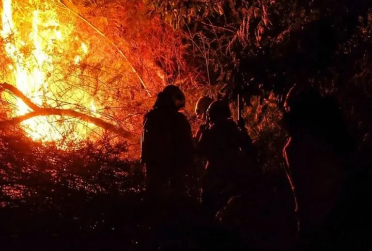 Rondônia registra, no 1° semestre de 2024, maior número de focos de queimadas dos últimos 8 anos