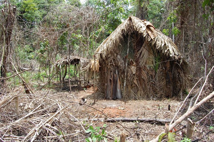 Caso ‘Índio do buraco’: audiência de conciliação termina sem consenso