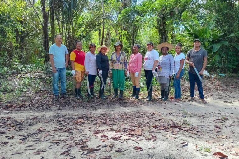 Manejo de bacurizal em Abaetetuba, no Pará, melhora renda de mulheres quilombolas