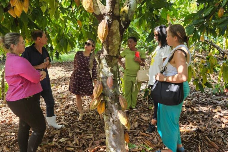 Rota Turística do Cacau incentiva desenvolvimento socioeconômico do Xingu