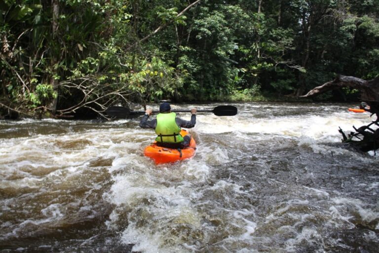 Dicas de férias ecológicas e sustentáveis para o cuidado com o meio ambiente