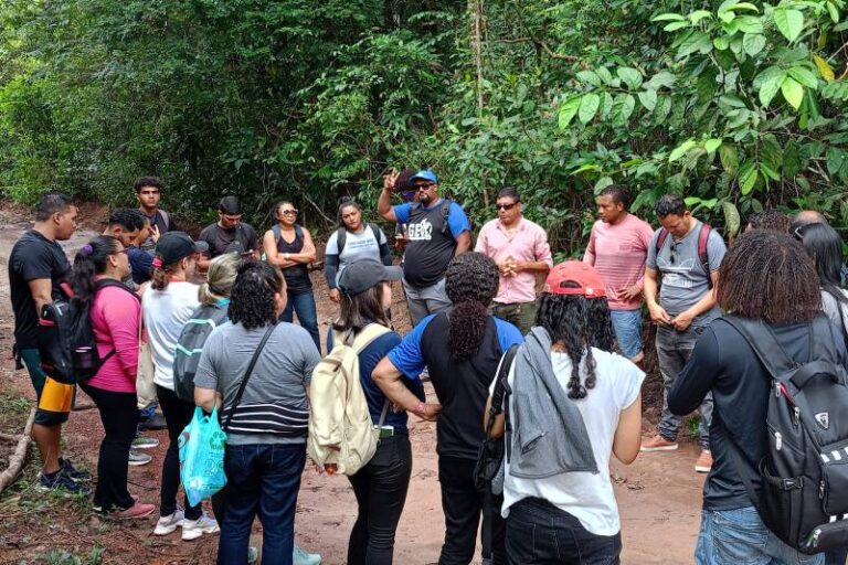 Estudantes paraenses publicam artigo científico sobre tamanho da degradação florestal na Ilha de Caratateua