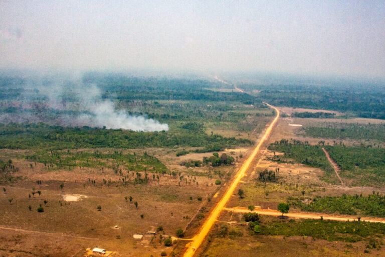 Mais de um terço dos municípios da AMACRO já tem mais área para agropecuária do que floresta