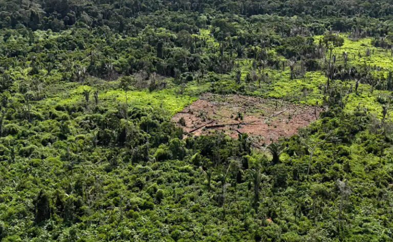 Terra Indígena Karipuna tem queda expressiva de desmatamento registrada pelo Governo