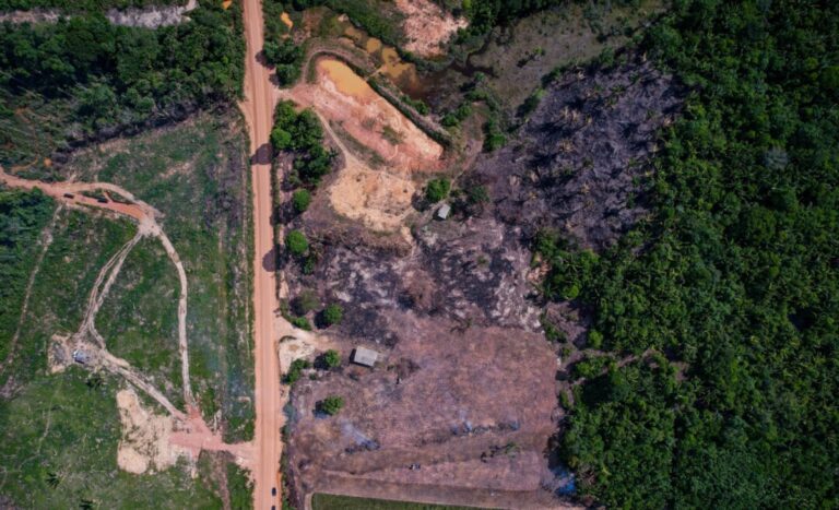 Mapa interativo apresenta dados sobre a BR-319, rodovia que corta a Amazônia