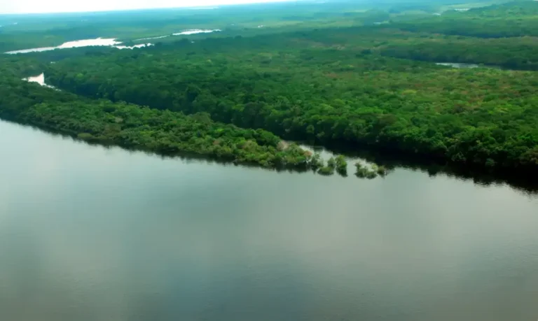 Ministério do Meio Ambiente e Amazonas discutem ações integradas para Amazônia Legal