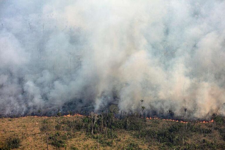 Focos de calor na Amazônia em julho de 2024 tiveram aumento de 98% em relação ao mesmo mês no passado