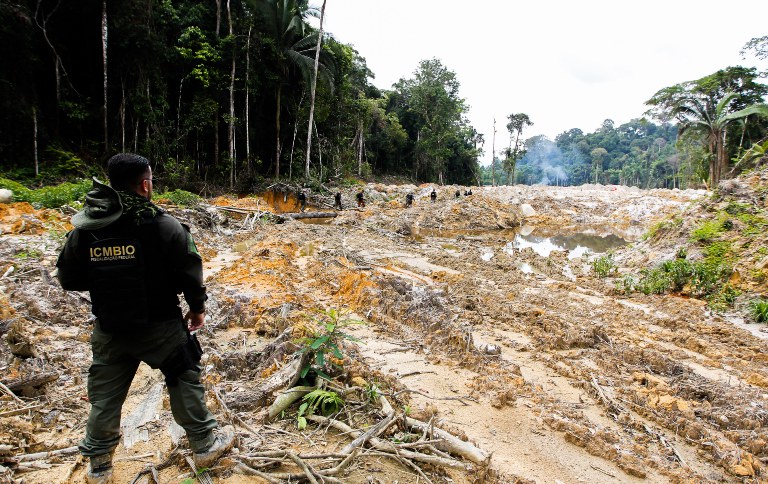 Censipam divulga novo boletim de desmatamento e ilícitos ambientais na Amazônia