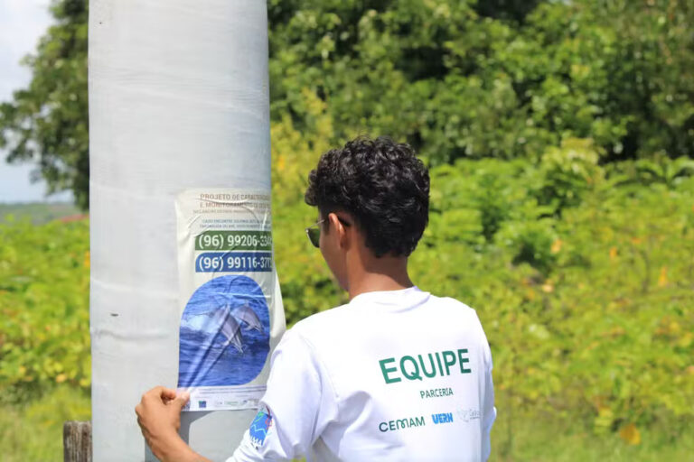 Impacto de estudo sísmico de petróleo em animais encalhados é monitorado na costa do Amapá
