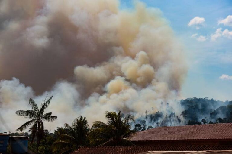 MPF pede atuação urgente contra queimadas em terra indígena no sudoeste do Pará