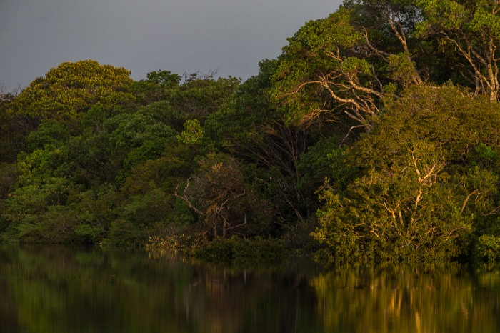 parque nacional do jaú, no amazonas