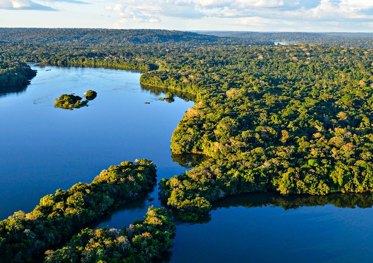 Floresta Viva: parceria promove recuperação em 4 unidades de conservação no Amazonas 