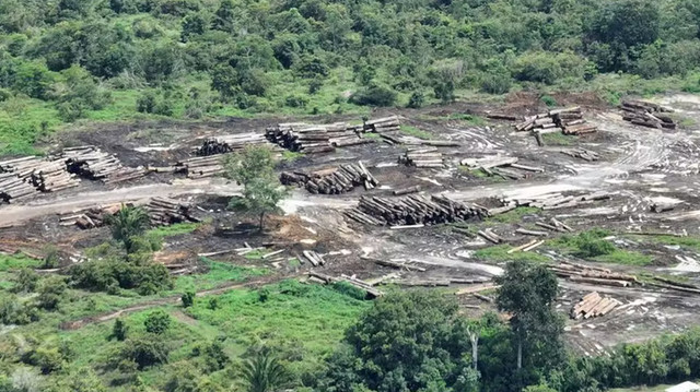 Governo Federal falha no controle do desmatamento e queimadas na Amazônia