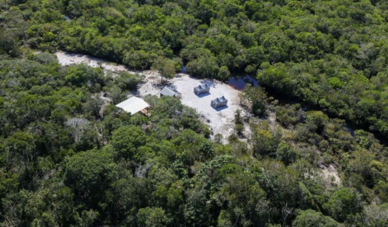 Pesquisadores iniciam inventário com dados da Floresta Amazônica