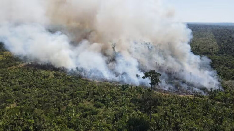 Rondônia declara situação de emergência por incêndios florestais