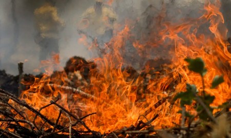 Pesquisa diz que mudanças climáticas aumentaram condições favoráveis a incêndios florestais sem precedentes