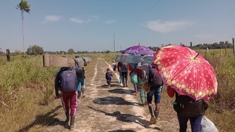 Nove em cada 10 terras indígenas da Amazônia enfrentam seca, levando à falta de alimentos e água