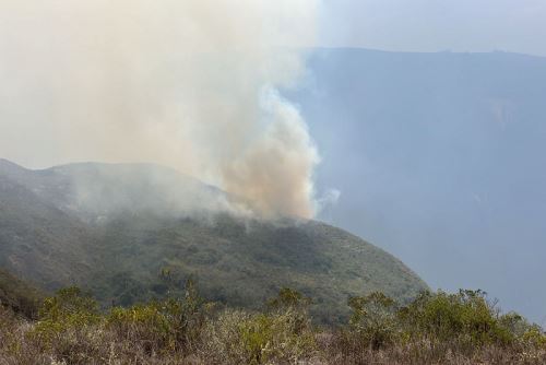 Mais de 17 mil hectares de cobertura natural já foram perdidos devido a incêndios no Peru