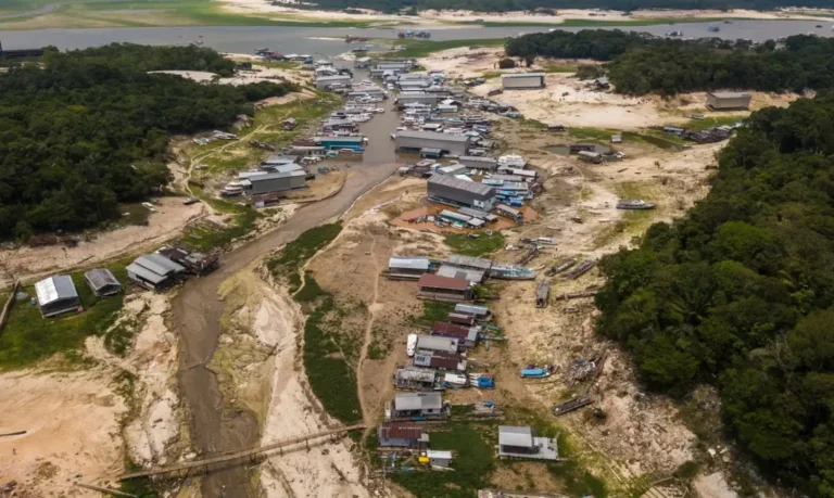 Quando não é queimada, é seca: a Amazônia pede socorro