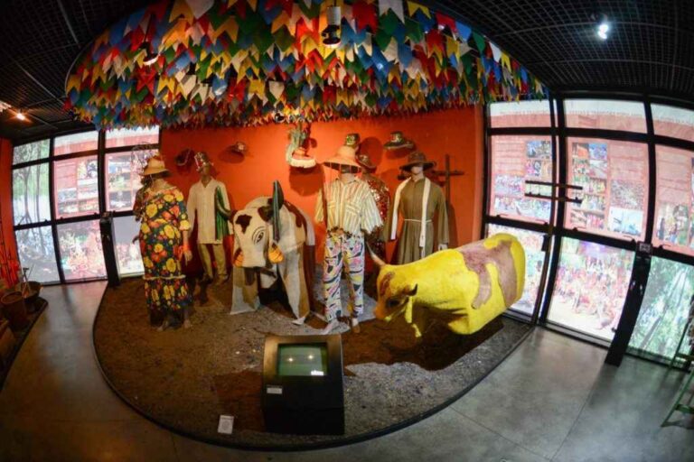 Museu do Homem do Norte reúne registros do dia a dia da população amazônica